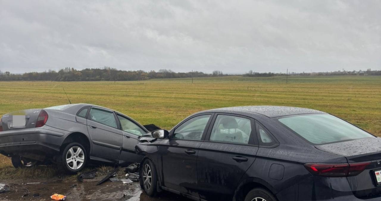 В Молодечненском районе Citroen выехал на встречку и врезался в Geely — один из водителей в больнице