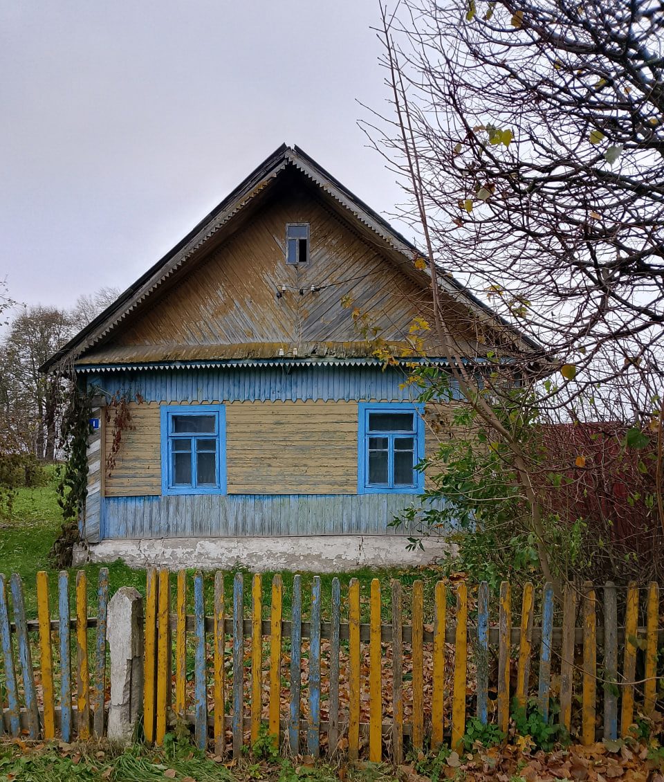 В Вилейском районе продают без аукциона домик возле озера и леса