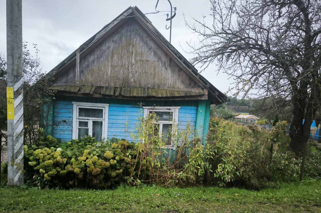 На аукцион за 2 тысячи рублей выставлен пустующий дом в деревне под Молодечно