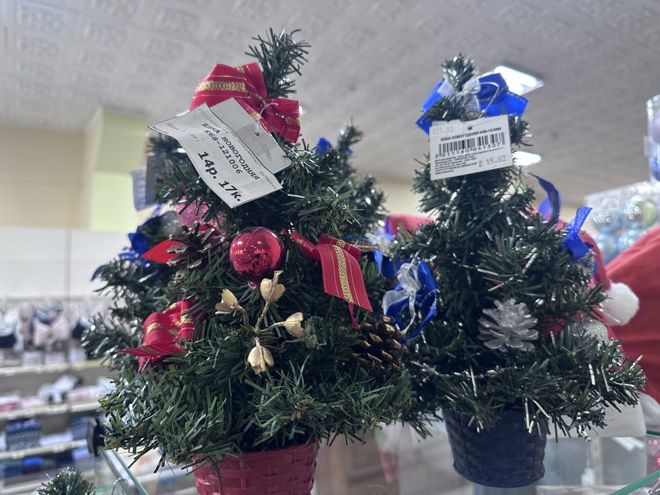 Посмотрели цены на искусственные елки в Вилейке