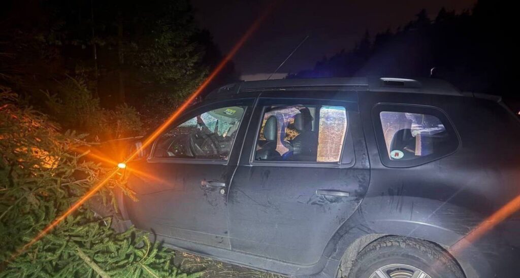 Два человека пострадали в ДТП в Минском районе из-за выбежавшего на дорогу лося