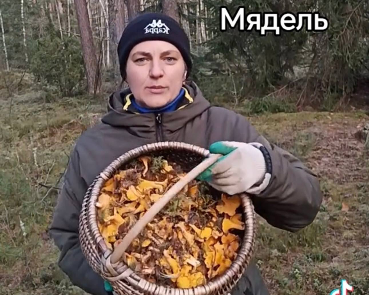 Целую корзину лисичек собрали под Мяделем в конце осени