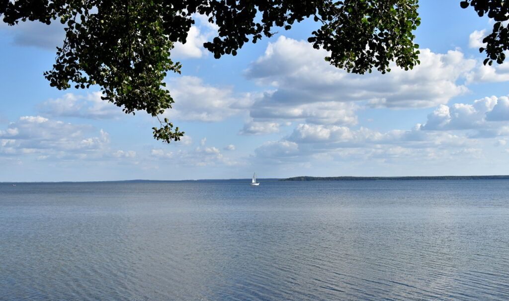 На берегу известного в Беларуси курорта можно купить участки под строительство дома