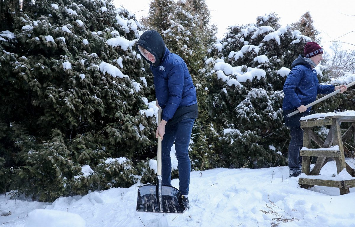 Какие социальные услуги можно получить только зимой? О некоторых вы даже не слышали