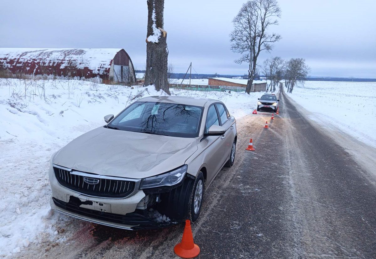 Водитель Geely не смог увернуться от лося в Вилейском районе и попал в ДТП