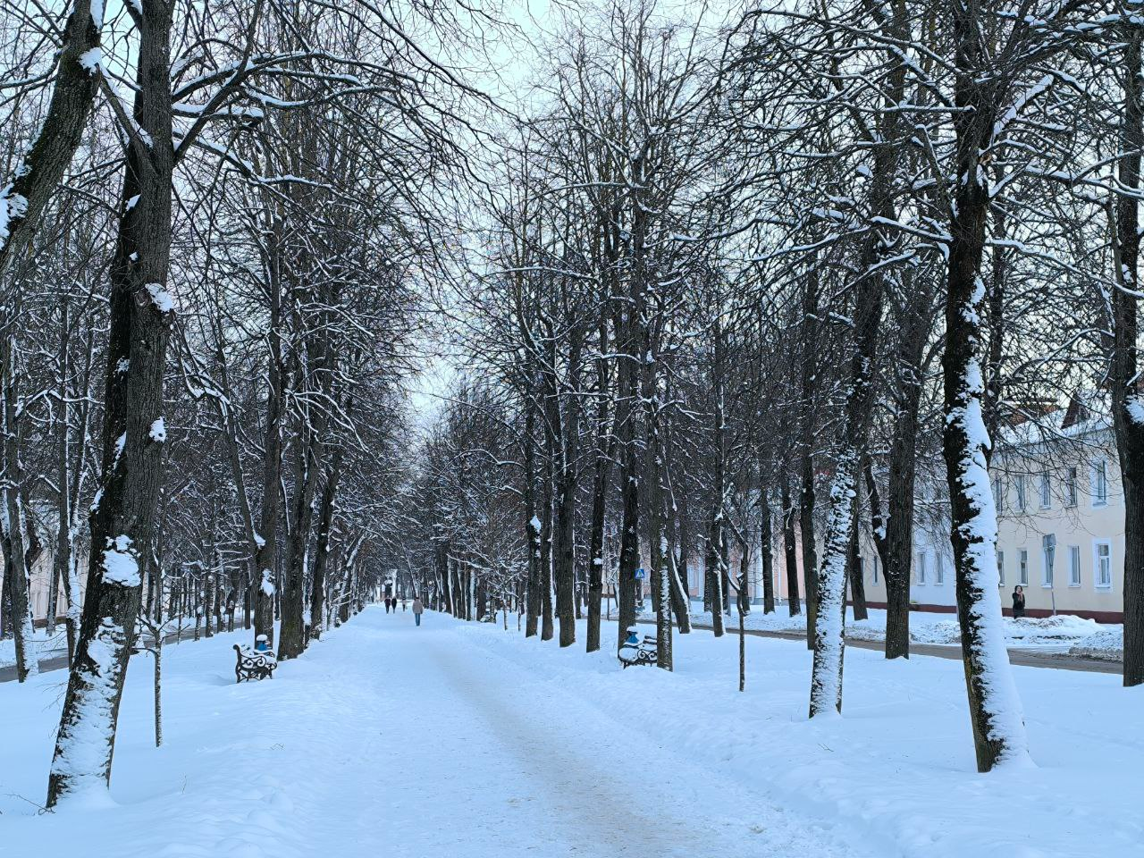 В начале недели будут морозы до -16°С и снова пойдёт снег