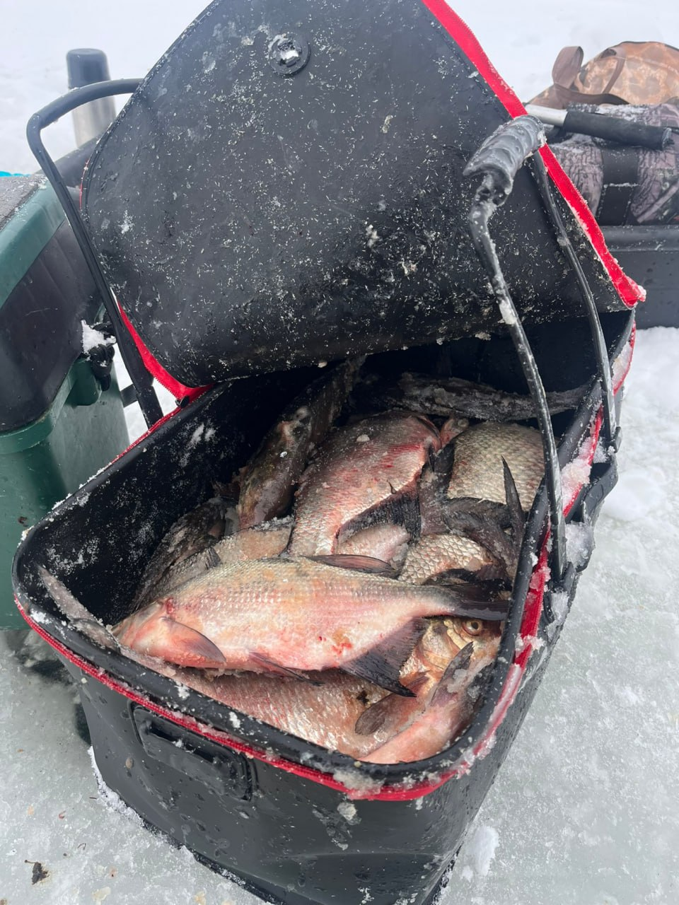 Показываем улов рыбаков на водоёмах Вилейского и Браславского районов