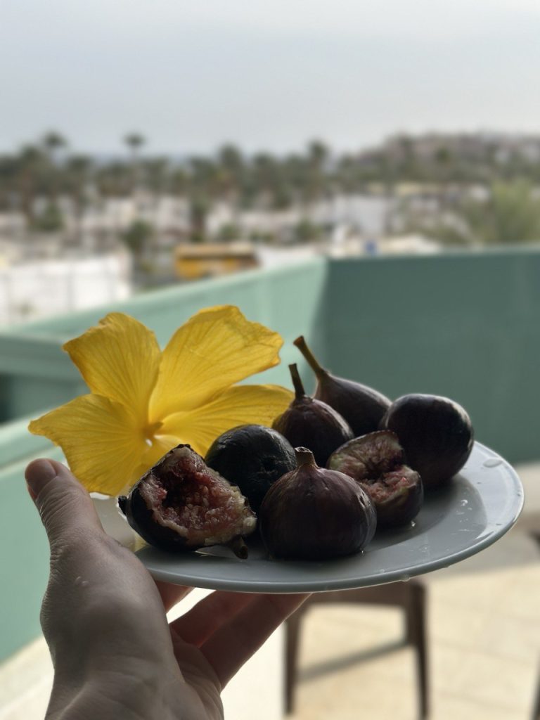 Сколько стоит отдых в Египте в январе и на чём можно сэкономить   белоруска рассказала