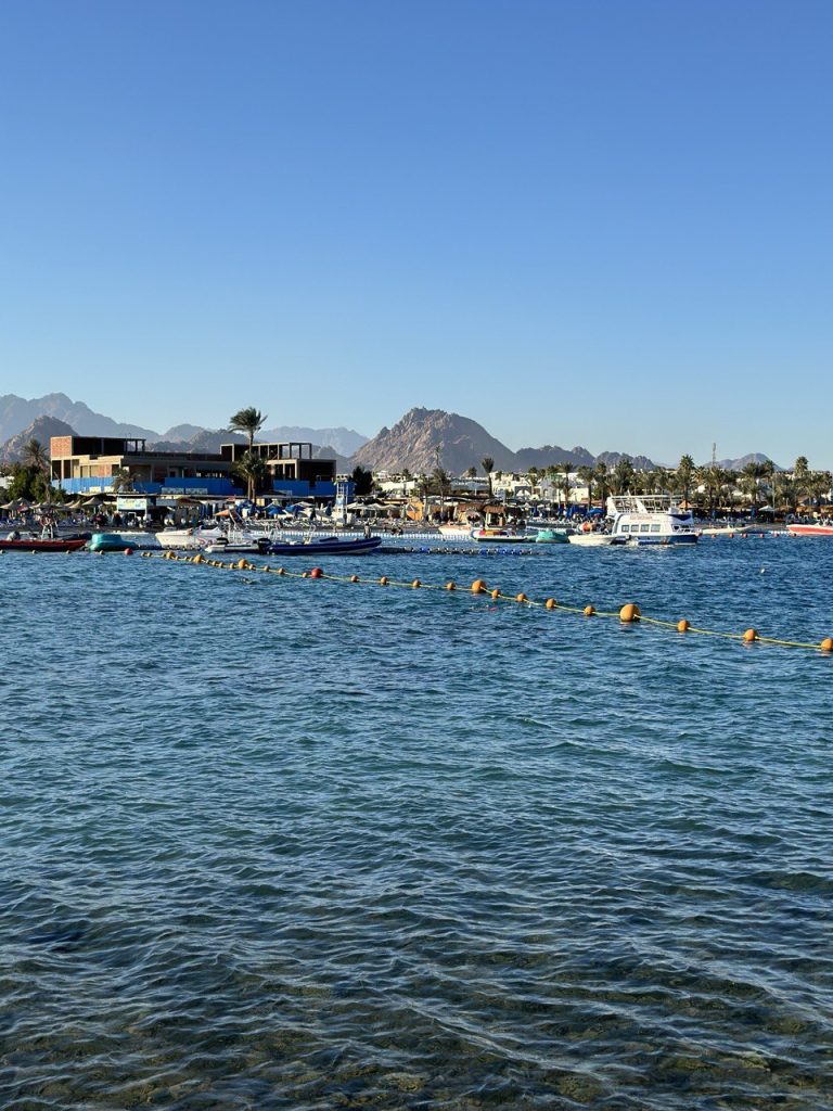 Сколько стоит отдых в Египте в январе и на чём можно сэкономить   белоруска рассказала