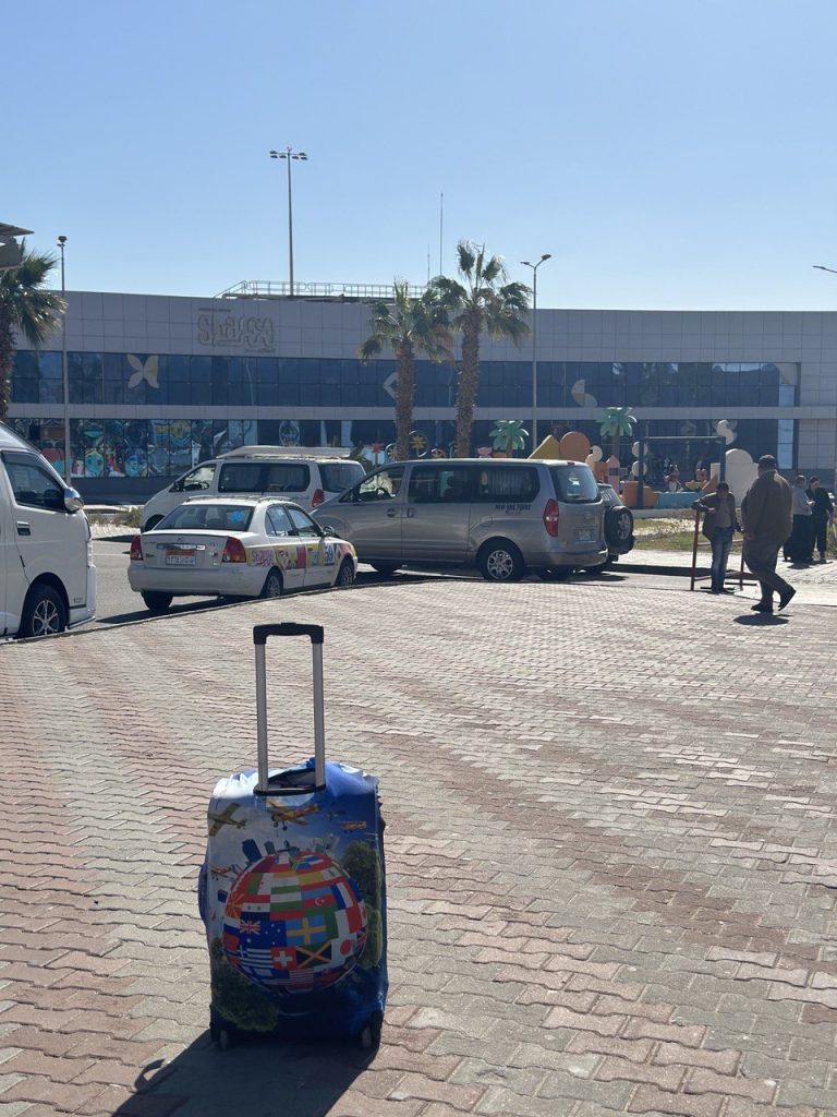 Сколько стоит отдых в Египте в январе и на чём можно сэкономить   белоруска рассказала