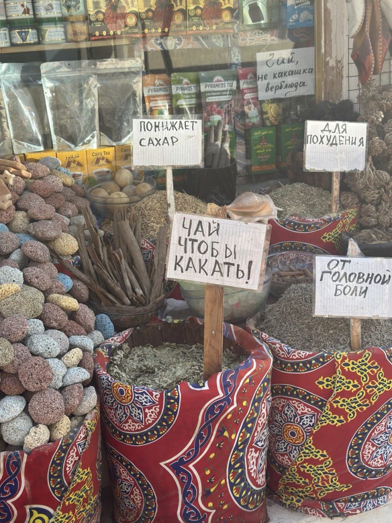 Сколько стоит отдых в Египте в январе и на чём можно сэкономить   белоруска рассказала