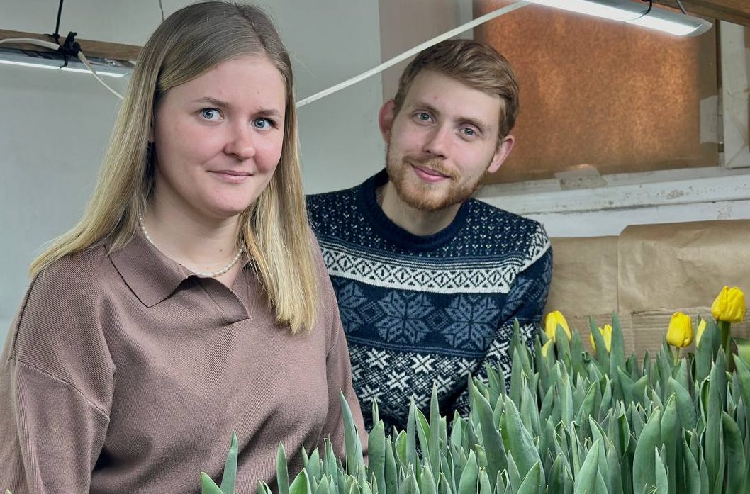 Десять тысяч тюльпанов выращивает в доме семья из Вилейки