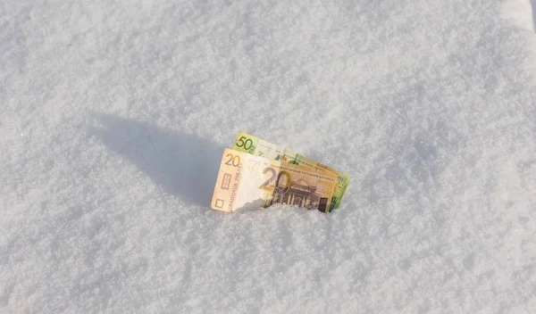 Пенсионерка приехала в Минск, чтобы закопать в снегу чужие 125 тысяч рублей