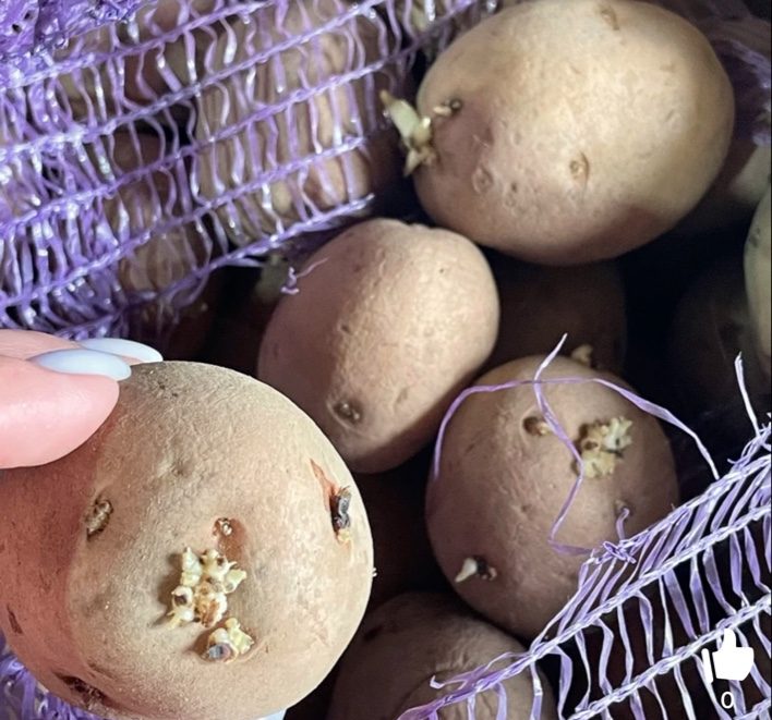 Нашли семенной картофель и лук-севок на популярном маркетплейсе
