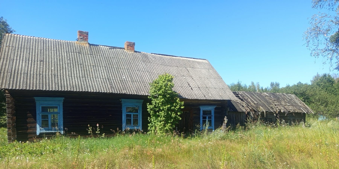Дома за 45 рублей без аукциона можно купить вместо дачи в Минской области