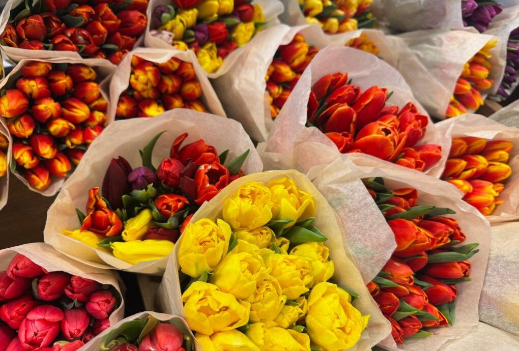 Узнали, сколько стоят первые тюльпаны на рынке в Валерьяново