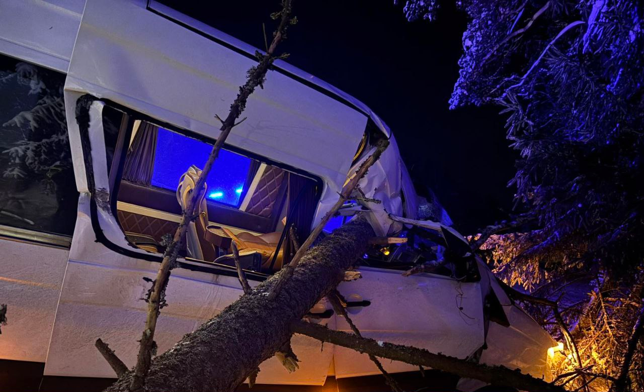 В Вилейском районе маршрутка наехала на упавшее дерево и съехала в кювет