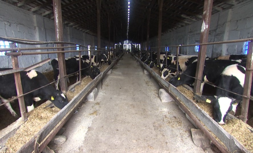 Недостатки нашли на фермах в Вилейском районе