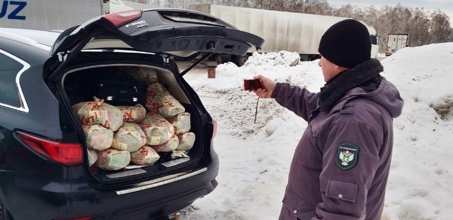 40 килограммов семян овощей не пустили из Беларуси в Россию и отправили на утилизацию