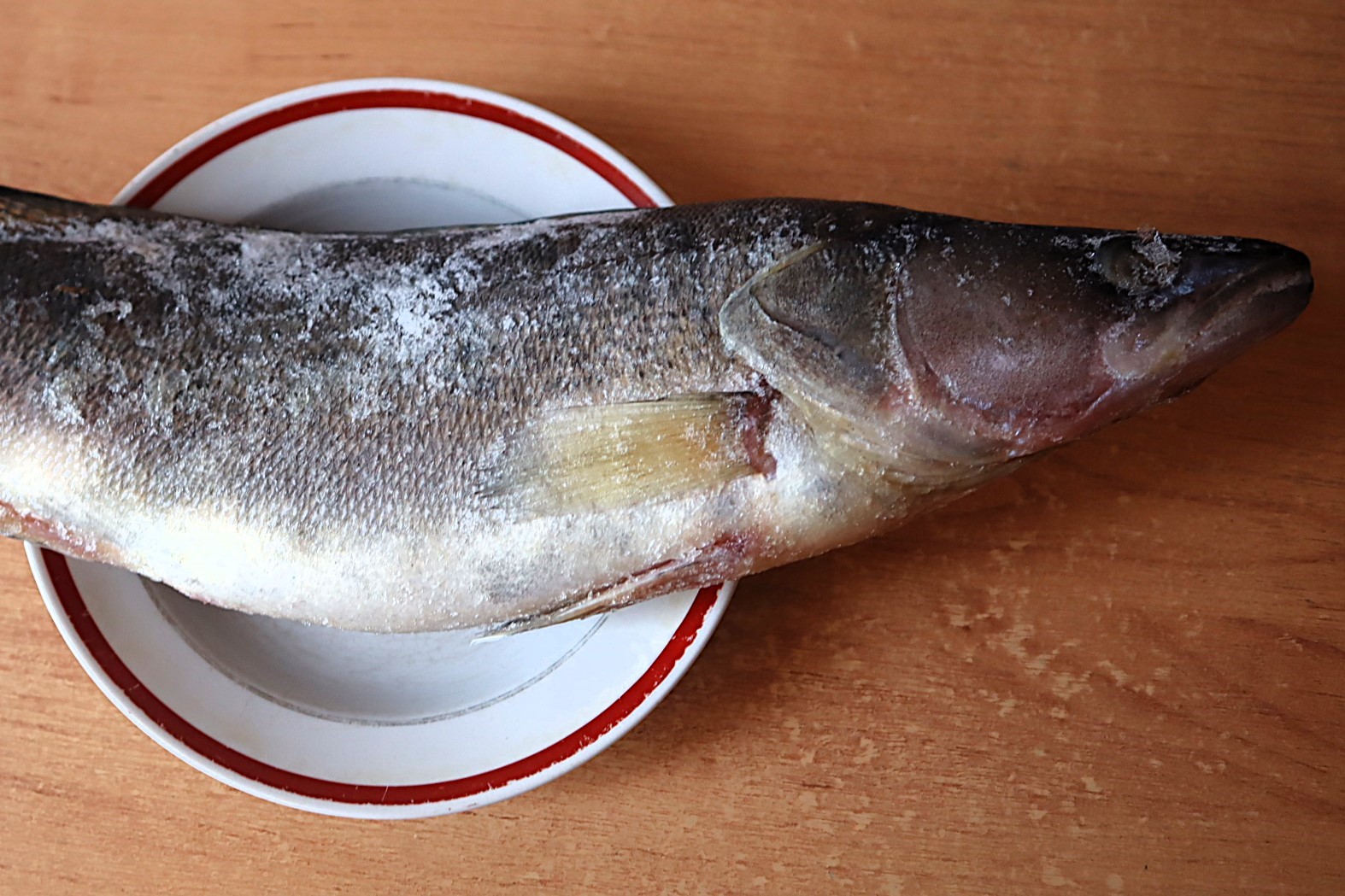 Судак из-под вилейских льдов и сушеная щука за 60 рублей – почём рыба на рынке в Молодечно