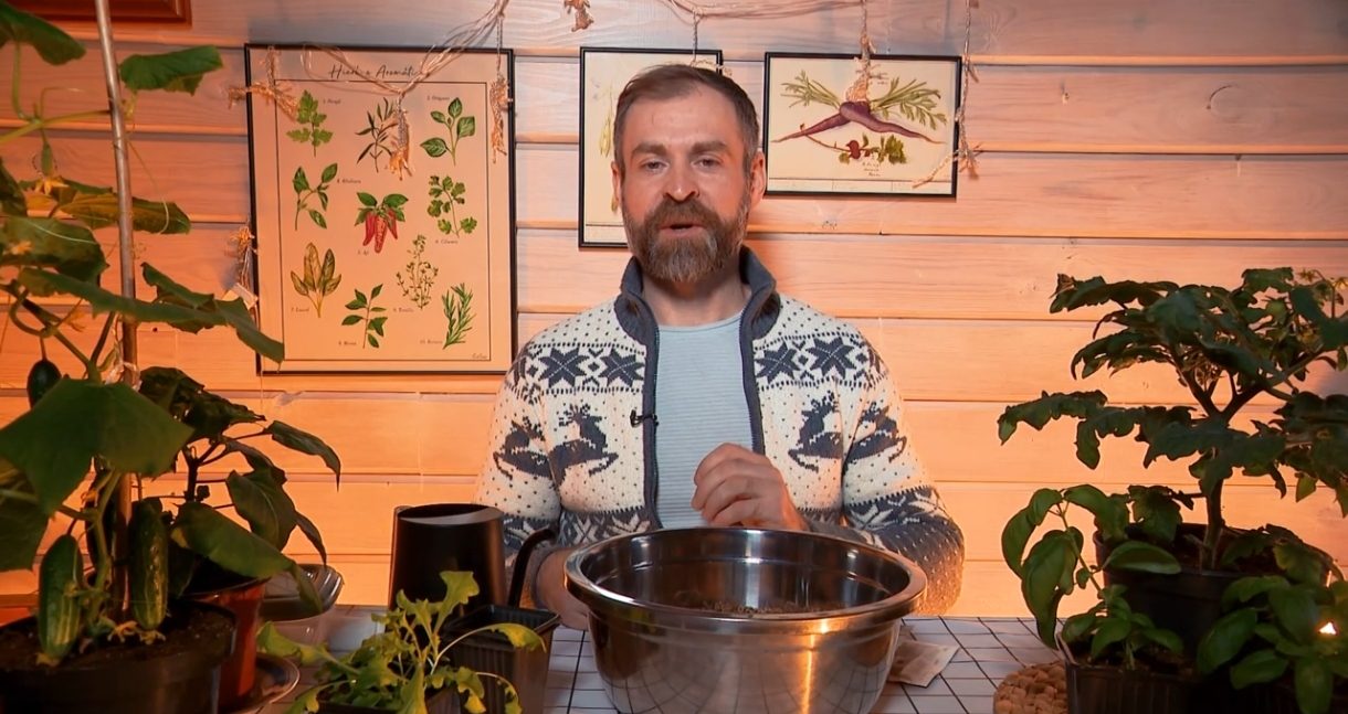 Как вырастить крепкую рассаду перцев для богатого урожая, рассказал садовник Дмитрий Кастрицкий