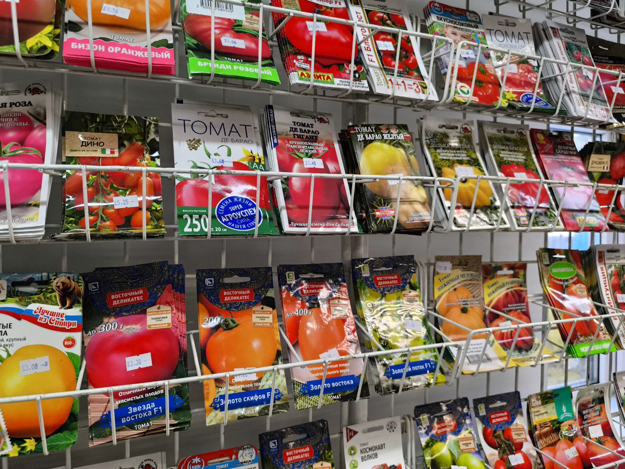 Цены на пакетик семян томатов в Молодечно от 60 копеек до 15 рублей