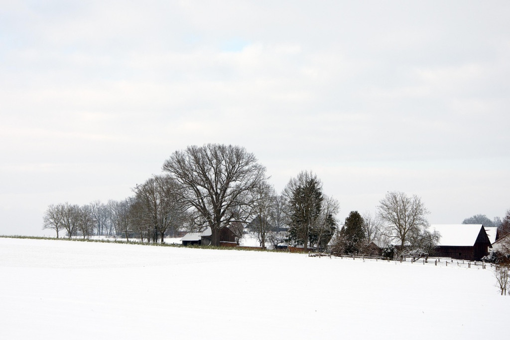 Земельный участок в Молодечненском районе выставлен на торги