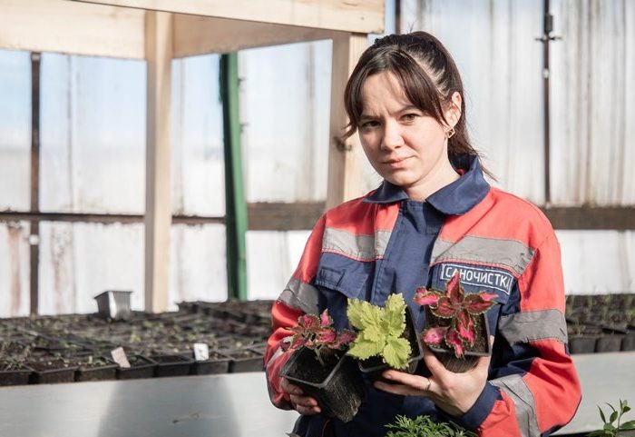 Кованые павлины-цветочницы, портулак и 10 тысяч тюльпанов: как украсят улицы Сморгони весной