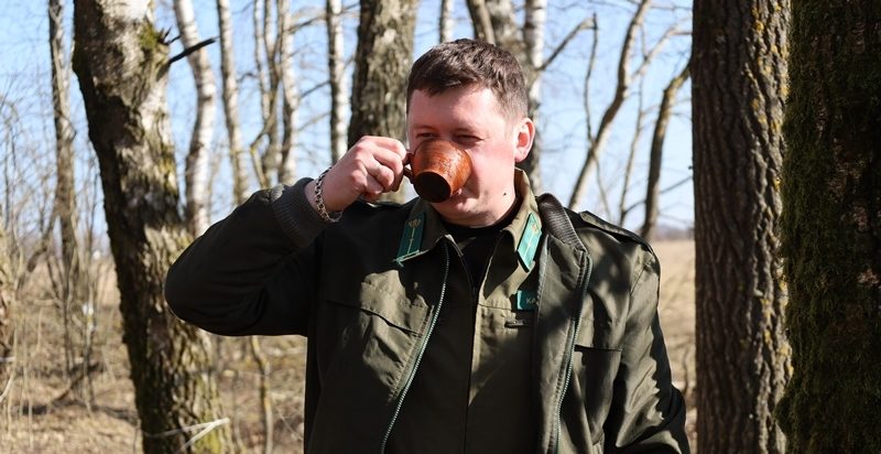 В Сморгонском районе стартовала заготовка берёзового сока