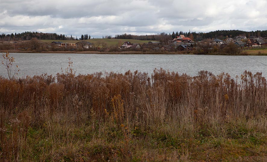 Суды Витебской области взыскали более 60 тысяч рублей за причинённый окружающей среде вред