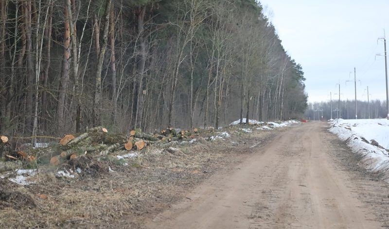 Посмотрели, где в Сморгонском районе расчищают дорогу от густой поросли