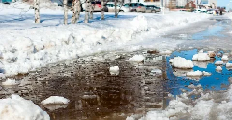 Куда звонить, если подтапливает участок