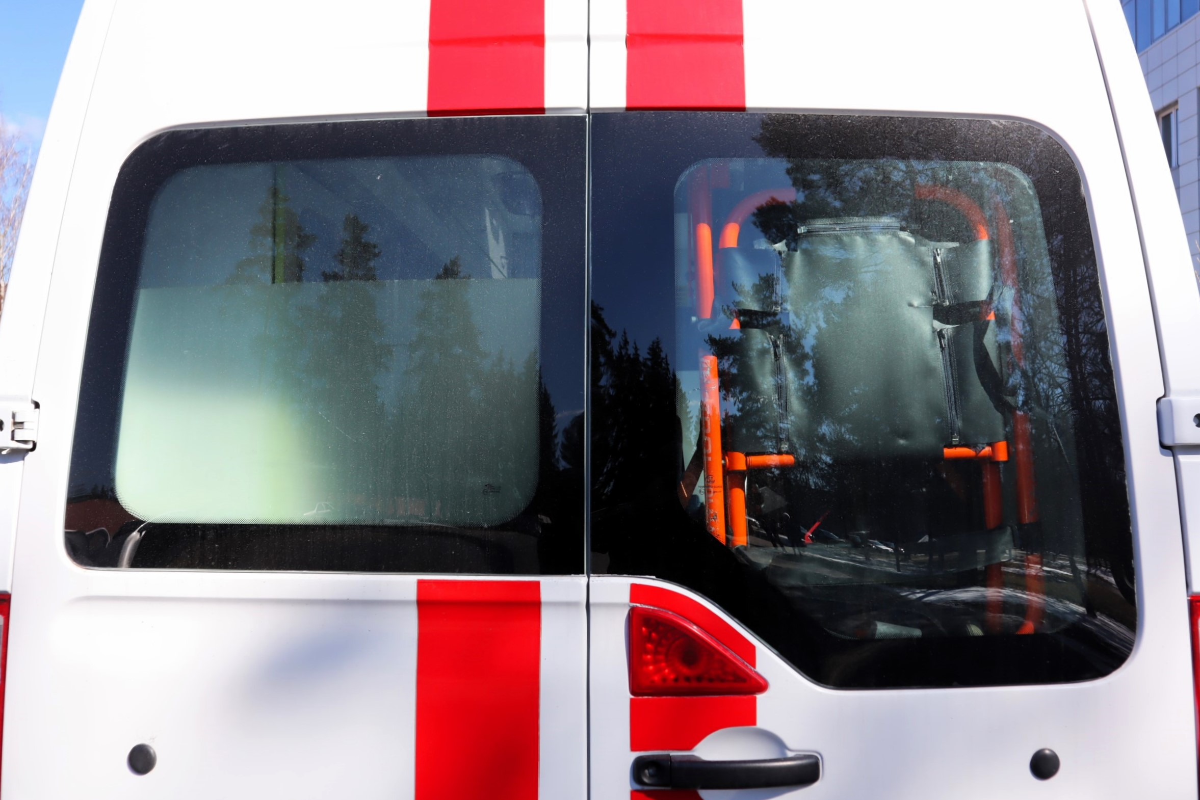 Мёртвый пенсионер обнаружен на месте пожара сухой травы в деревне под Мяделем