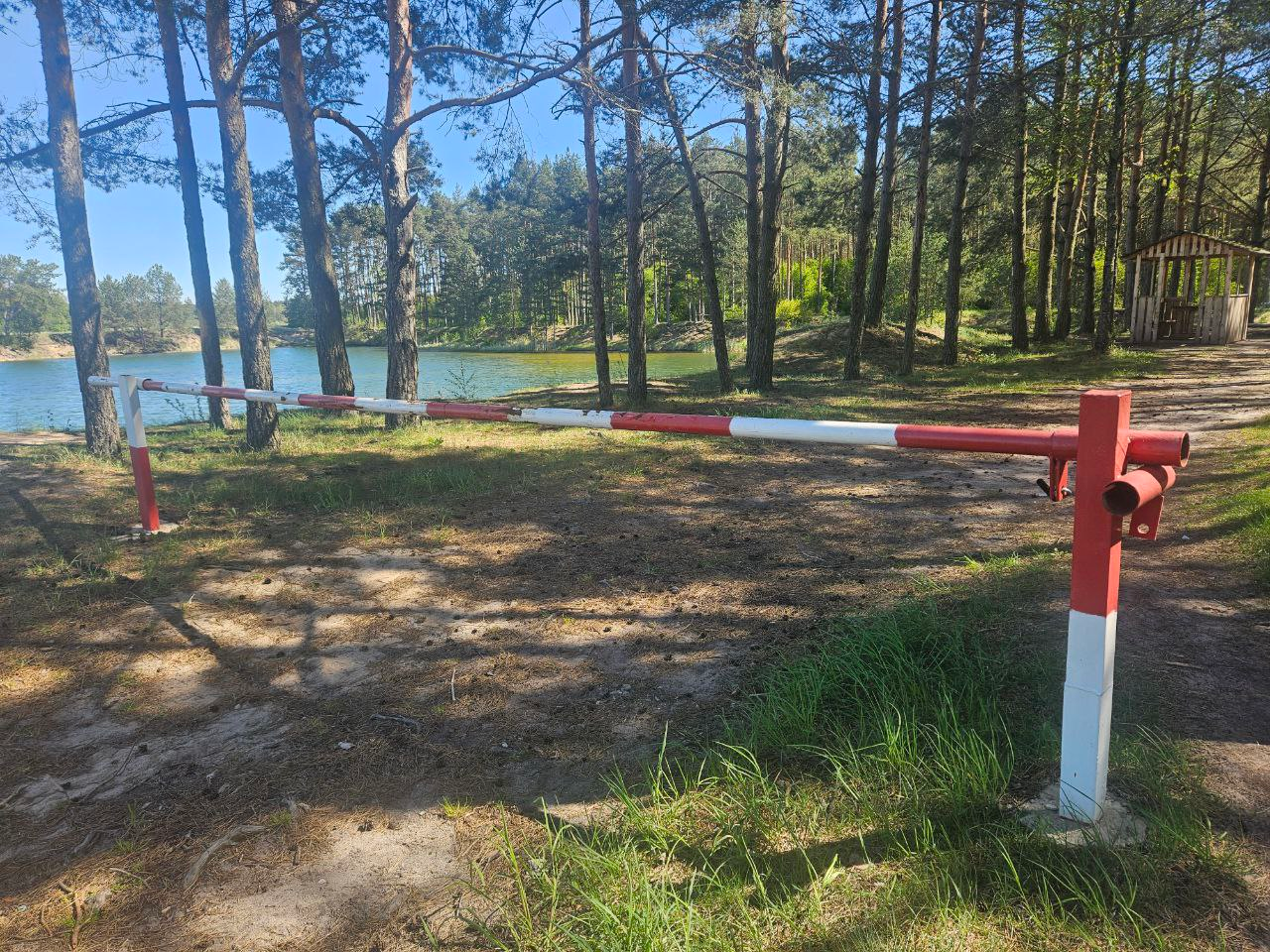 В Минской области разрешено посещать леса только в Мядельском районе