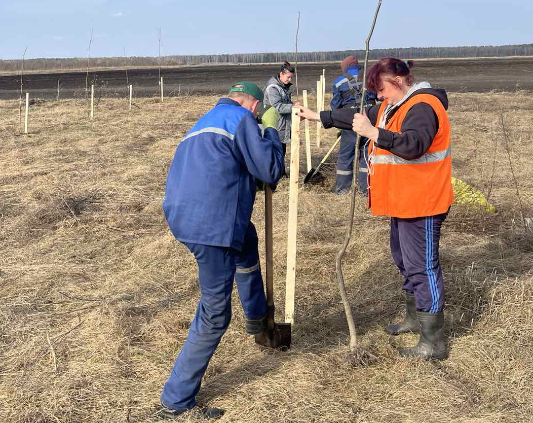 Республиканский субботник пройдёт в Беларуси 18 апреля