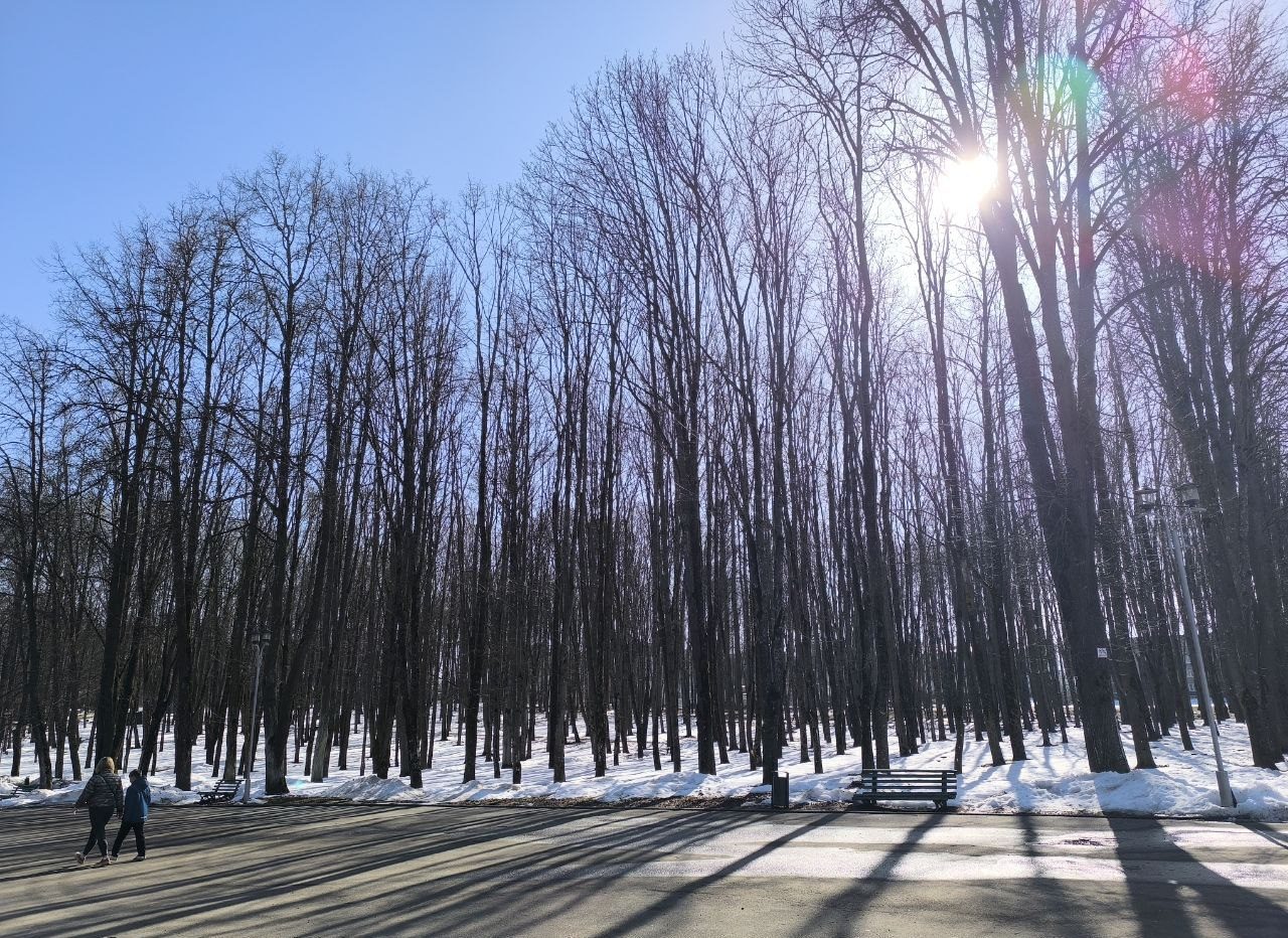 Аномально тёплую погоду прогнозируют синоптики на выходные