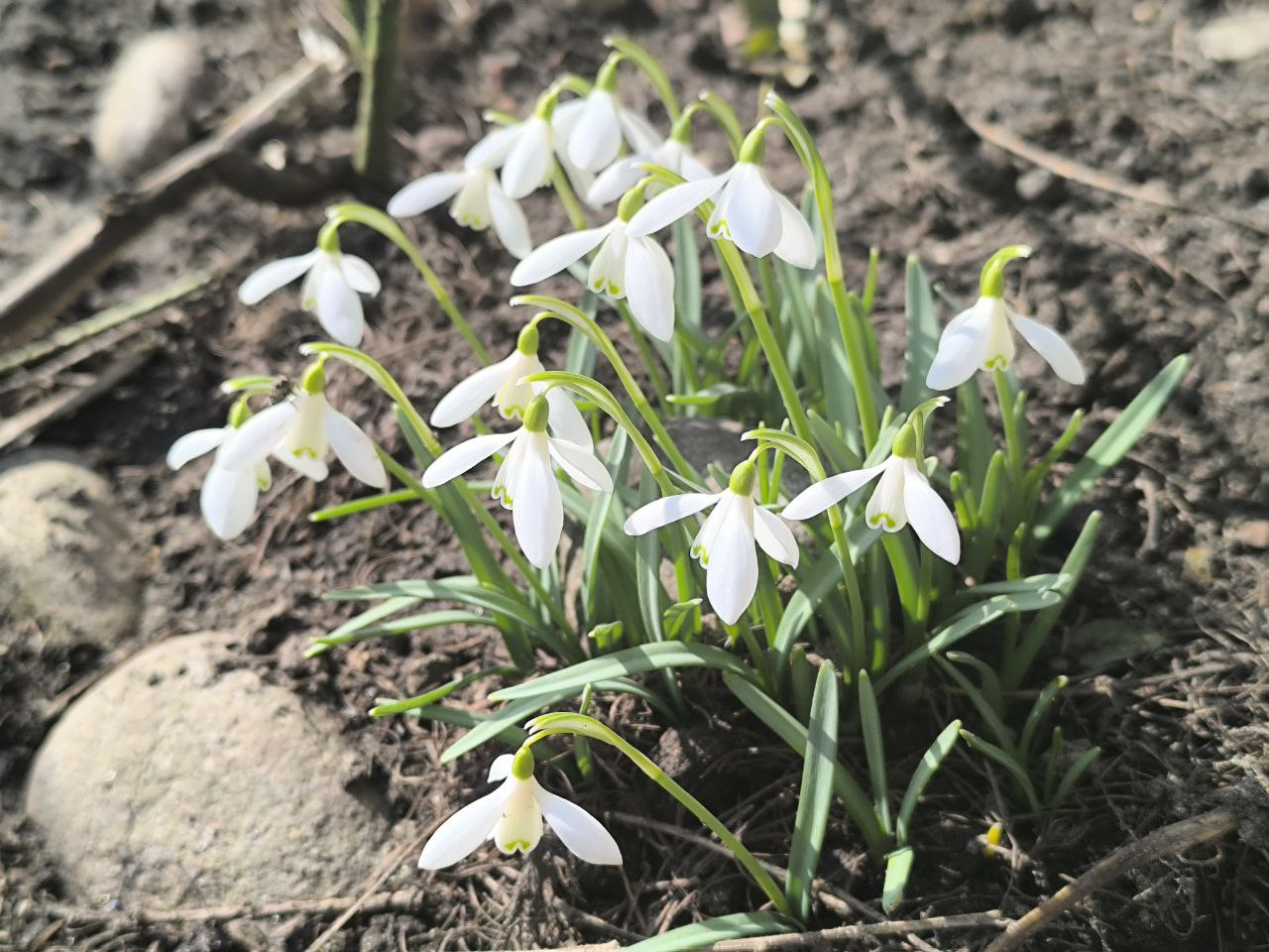 Синоптики рассказали, где ждать мокрый снег на неделе с 16 по 22 марта