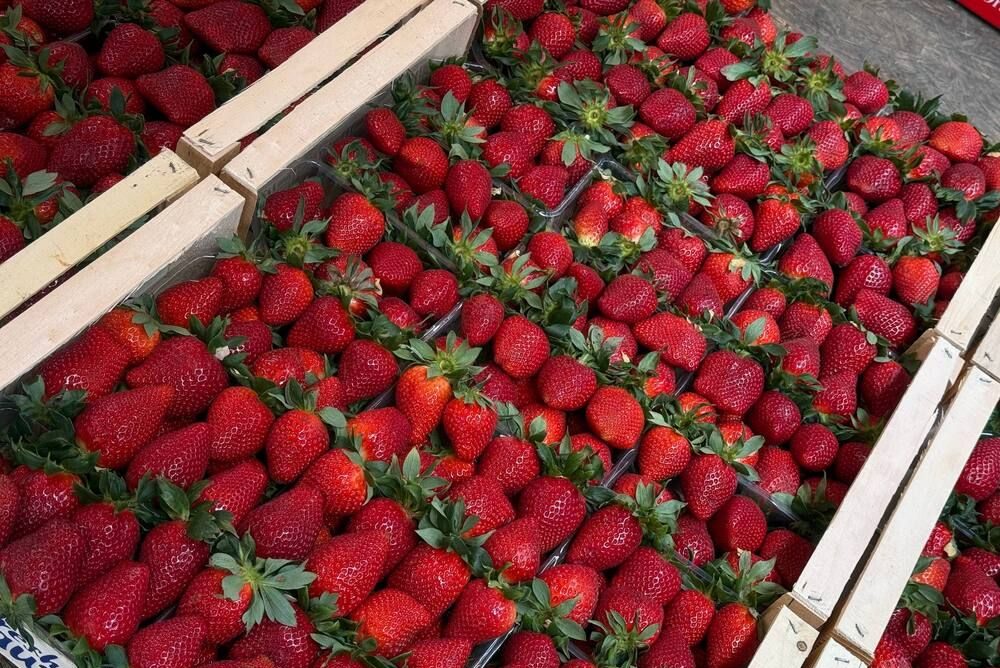 Клубника, которая дешевеет каждый час, и арбузик-бейбик: за чем едут покупатели на рынок в Таборы