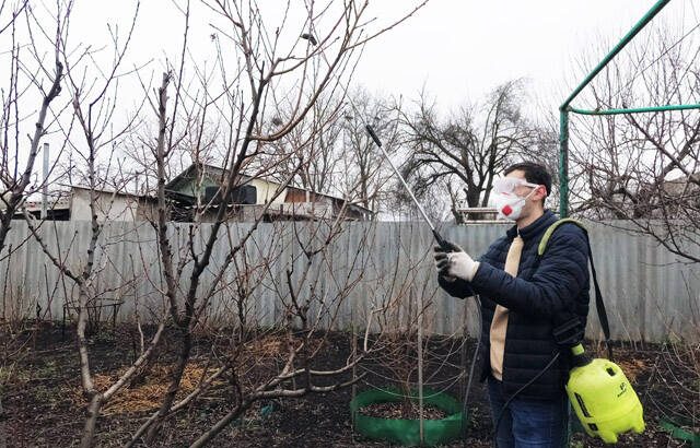 Как защитить сад весной от проснувшихся вредителей