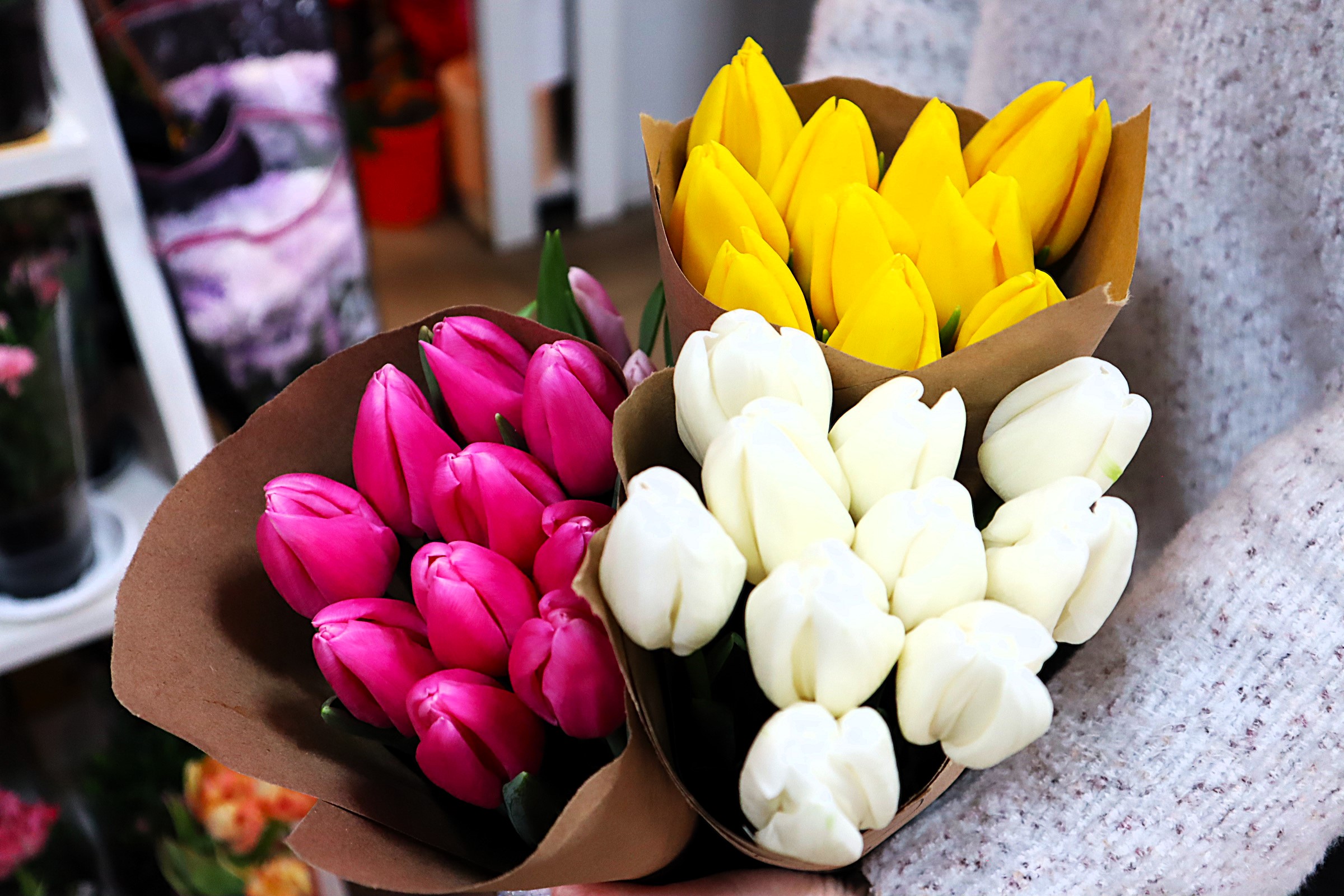 Почём тюльпаны в этом году? Сколько заплатят мужчины, покупая в Молодечно главный цветок 8 Марта