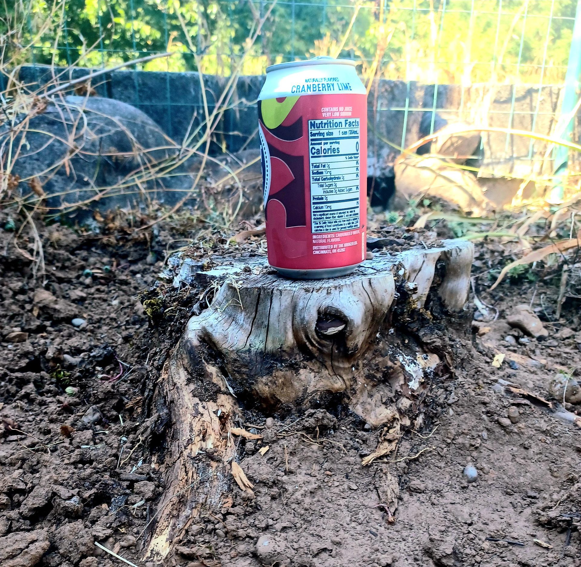 В Мядельском районе школьники стреляли по банкам из пистолета, один из них ранил себя в ногу
