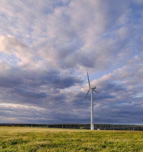 Когда утихнет штормовой ветер, рассказали синоптики