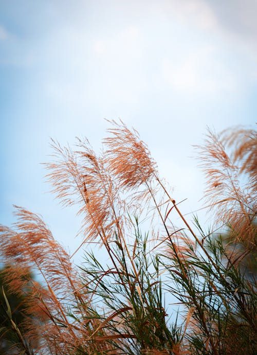 Синоптики предупреждают об усилении ветра в выходные