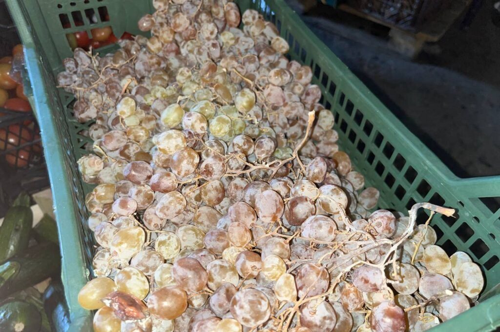 Нашли место в Минском районе, где цены на овощи и фрукты в несколько раз ниже магазинных