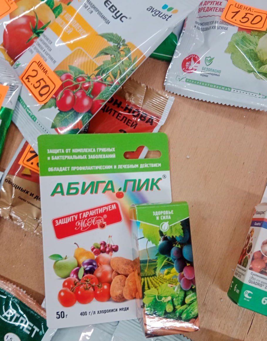 Комитет госконтроля Минской области приостановил работу торговых точек за нарушения при продаже семян