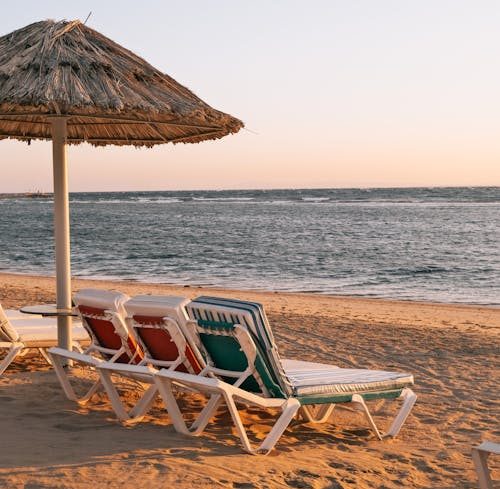 Жительница Минска организовала фиктивный турбизнес и похитила у клиентов более 120 тысяч рублей