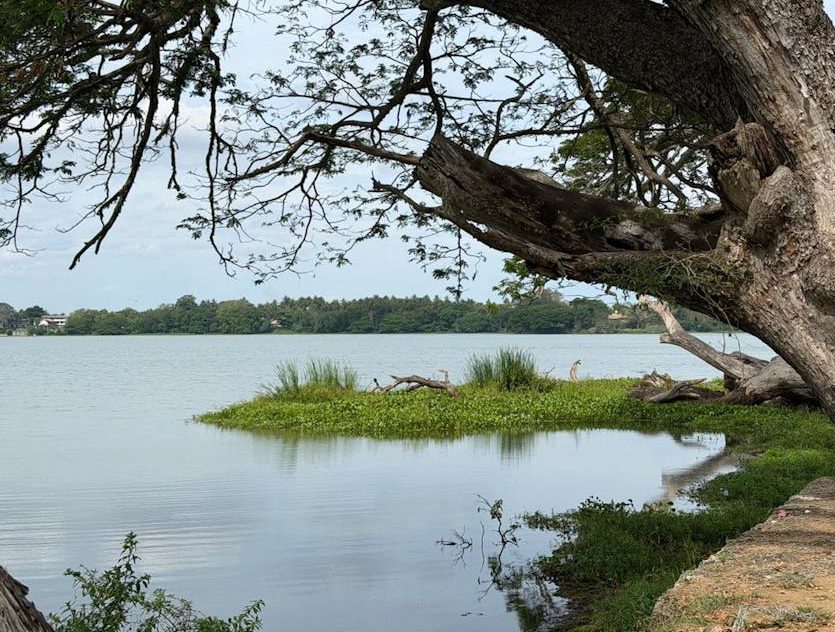 В Воложинском районе из реки достали тело 62-летнего мужчины