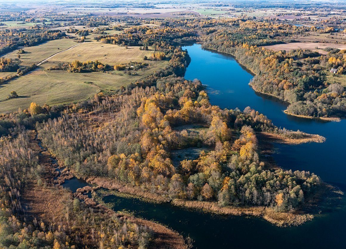 Участки в Глубокском районе на берегу озера можно купить на аукционе