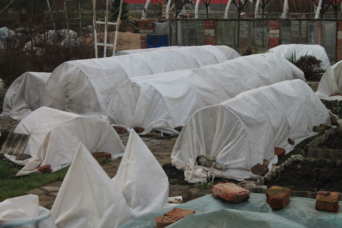 Как спасти урожай при заморозках в апреле и что укрывать в первую очередь