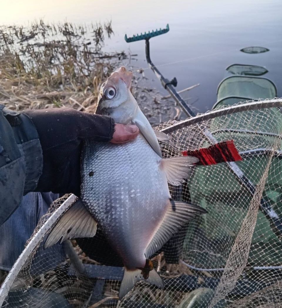 Отчёт со спонтанной рыбалки на Вилейском водохранилище
